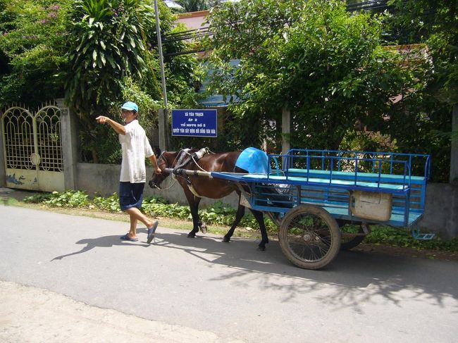 馬車がいました。パッカ♪パッカ♪<br />人間が横を歩いて誘導している…ってことは、荷台は荷物を載せるのみの仕様ってことですね。<br />