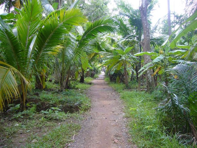こんなあぜ道を、ガタゴト自転車で駆け抜けます。<br />あぁ、開放感！私、旅してま〜す！！