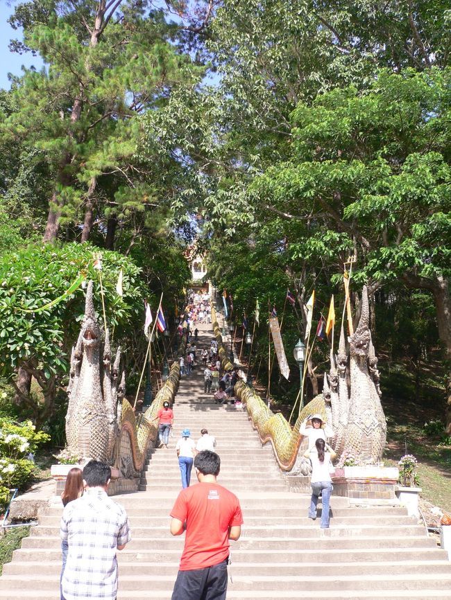 ながーい階段を上ります<br />ここは標高１０００ｍくらいあるそうです。