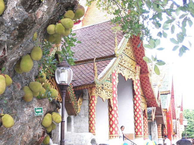 ワットドイステープ