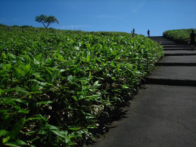まずは美幌峠にやってきました。