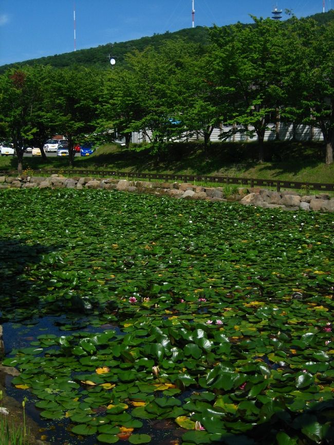 網走監獄へ。<br />いまは博物館になっています。