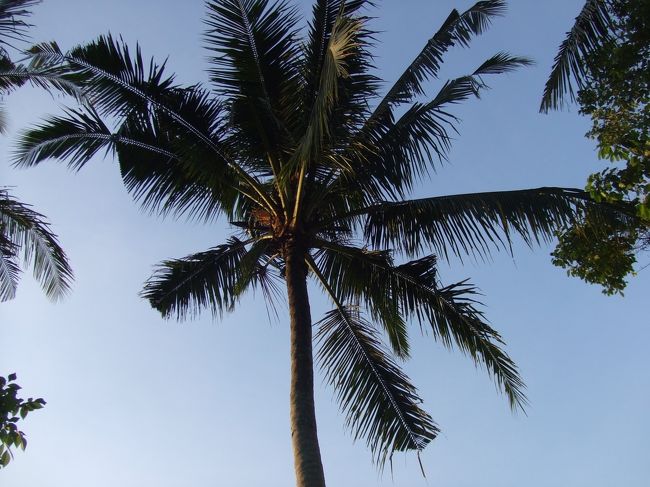 朝食の時間までかなりあったので、母と一緒にホテルの敷地内をお散歩しました。