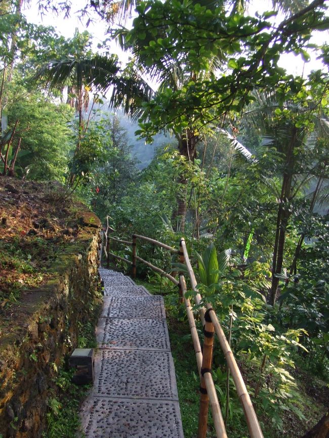 歩いていると、細い道があったのでくだってみることに…。