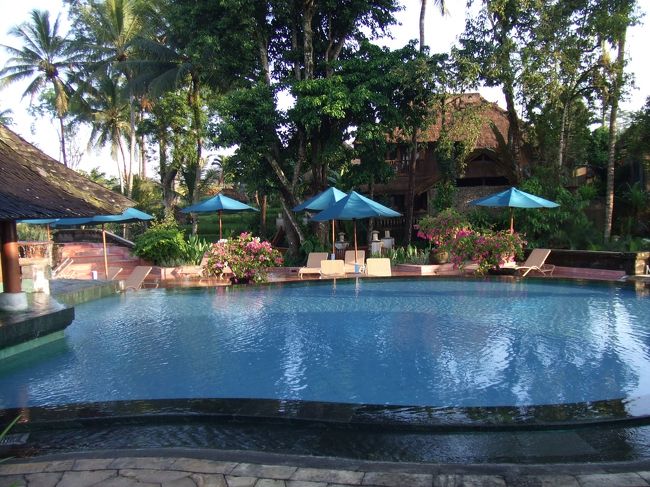 ホテル内のプール。<br />滞在中泳ぐことはありませんでした...