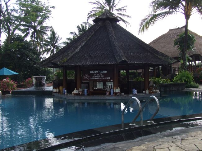 プールの中にバーがありました。