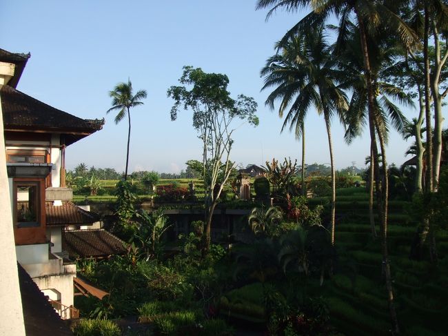 やっとレストランが開く時間になったので、向かうことに…