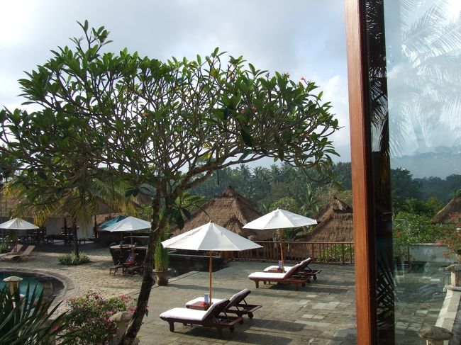 レストランからの風景。<br />プルメリアの木が目の前に。