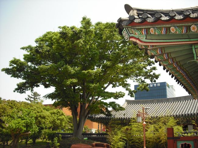 「ケヤキ」<br />日本・モンゴル・中国・シベリア・・・がどうのと<br />説明が書いてあったけど<br />なんの事か、分からなかった