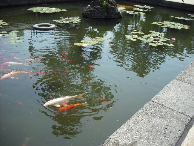 「東門市場」を訪れたら<br />徒歩圏内なので、行かれてみては〜♪