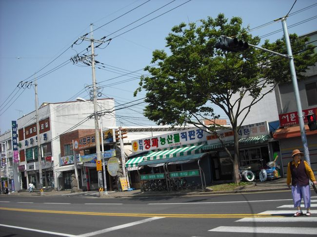 道路を渡って反対側から眺める