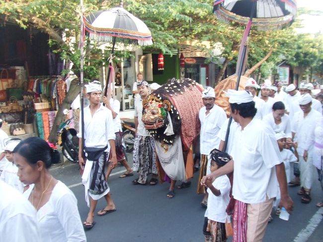 これはなんでしょう。。。<br />バロンかな？？