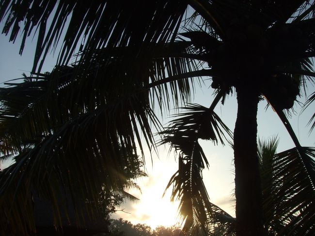 ３日目も早起きです↑<br />この日はウブドのホテルからスミニャックのホテルへ移動するので、朝から荷物をまとめました。