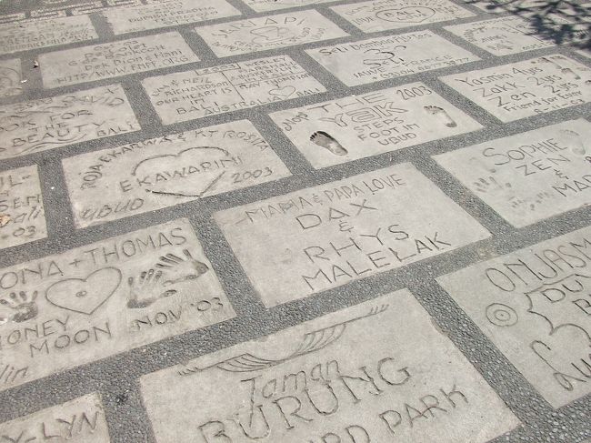 なんかかわいくてパチリ☆