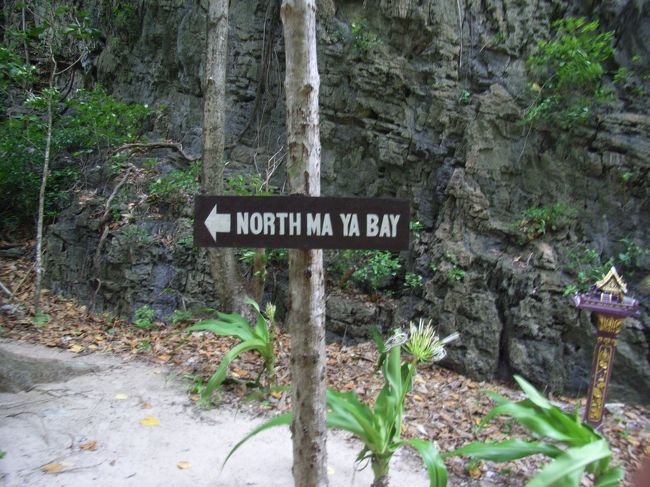 マヤベイは向こうです。