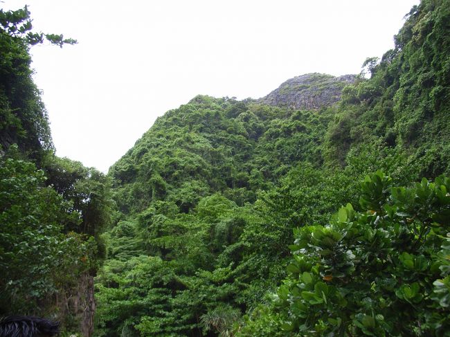 ジャングルのようなところを抜けると