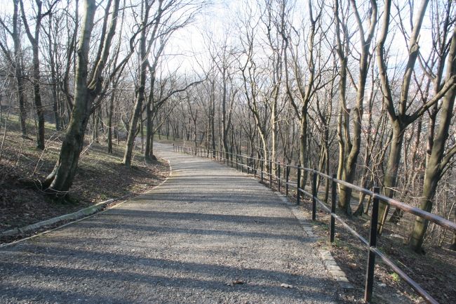 無謀にも登り始めました。<br />ゲッレールトの丘を。<br /><br />男子の体力と一緒にしないでくれ…！！