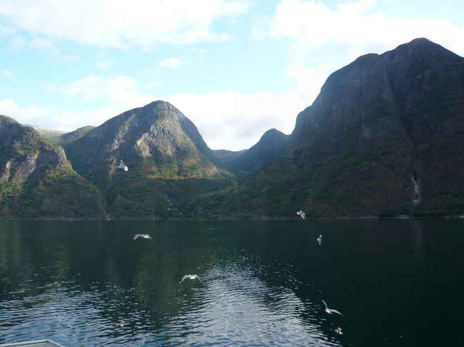 カモメが船にお供してくれます