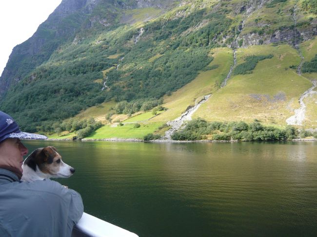 ワンチャンも素晴らしい景色にうっとり・・