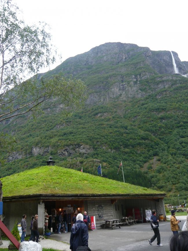 グドヴァンゲンからバスにてフロムに戻ります。途中屋根に芝生を植えたグリーンハウスを見学します