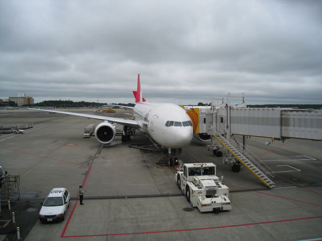 ＪＡＬ４１１便<br />（成田−アムステルダム）