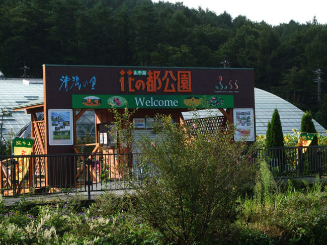 公園内には入りませんでした。<br />今回は、誰でも入れる無料のところだけです。