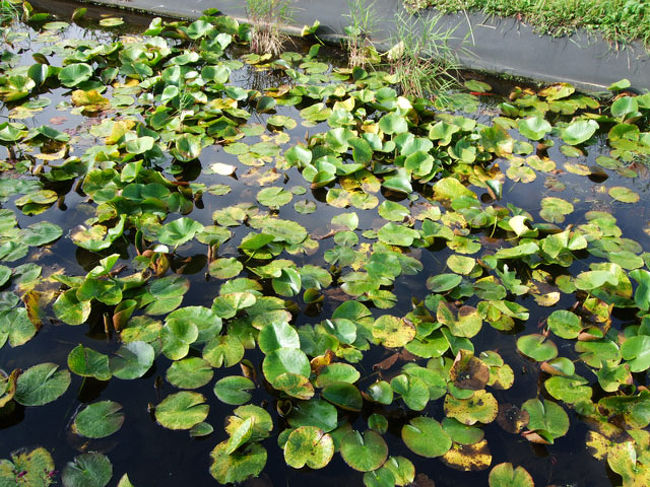 ↑の入り口近くにて。