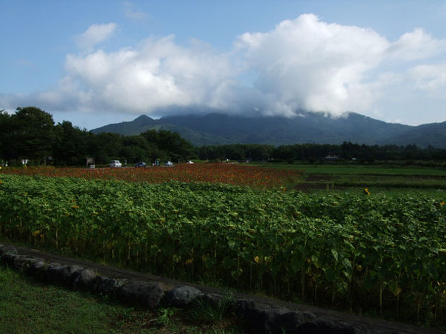 富士山が換えを出すかな。<br />↑の2枚目の画像よりも見えてきました。