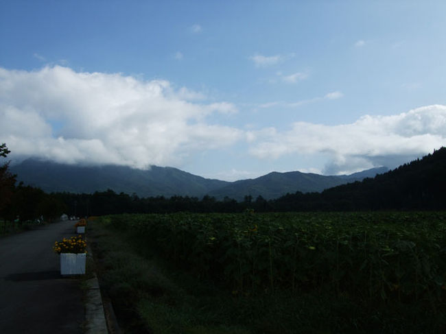 公園の北側の山です。