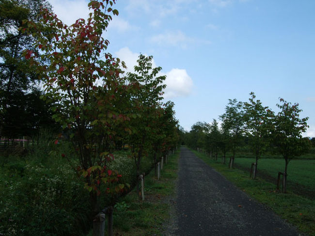 山中湖方面に戻ります。<br />サイクリングロードがあり、便利です。