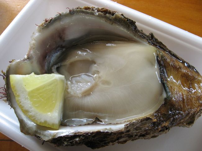 しつこいですが、また岩牡蠣。