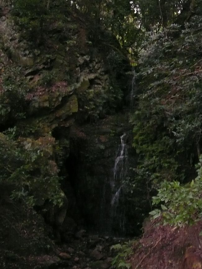 確認出来ますでしょうか?<br /><br />見えたあなたは、今日いいことがあるかも！？