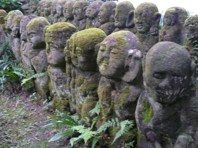 表情豊かですねぇ。