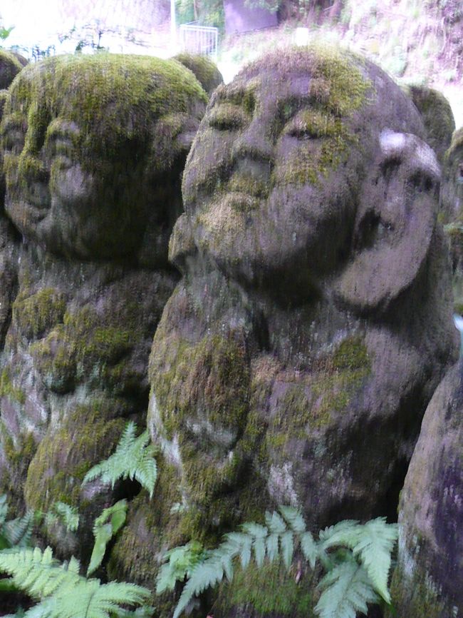 苔がまた良い感じ。