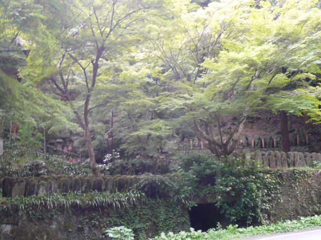 山に整列したり、疎らにある羅漢さまが素敵です。