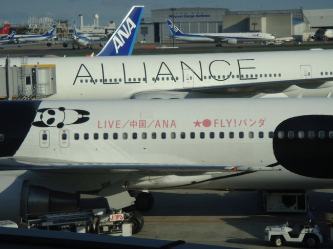 そういえば・・・・こんな飛行機を成田でみかけました。パンダ、つかまってる？