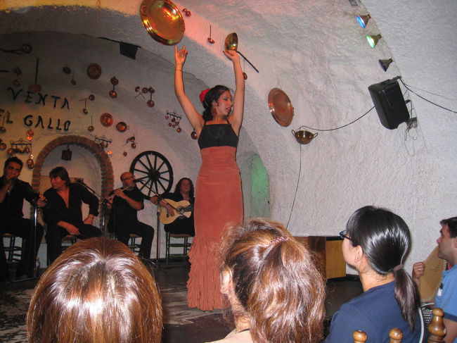 フラメンコ（洞窟の中でショーを鑑賞しました。ダンサーの激しいステップが印象的でした。）