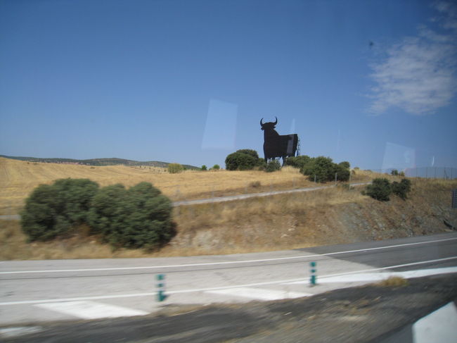 車窓（牛の看板はブランデー会社の広告。あちこちで見かけました。）