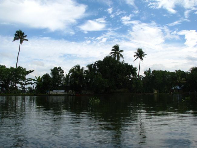 南国〜〜〜って写真。