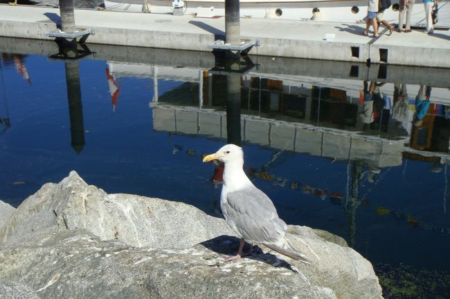 お昼を外で食べていたら・・・