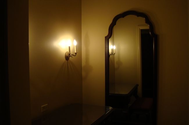 バスルームの手前のスペース<br />これは・・・なんだったんだろう？<br />私はここで、お顔のお手入れしてました