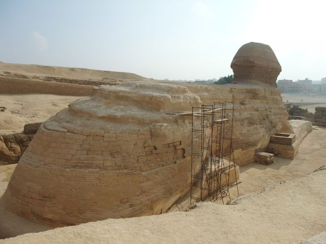 スフィンクスの後姿って見たこと無いと思うのであえて後姿を掲載