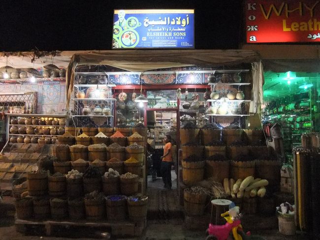 夜、ハルガダの街に到着した