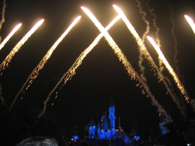 眠れる森の美女の城が花火とレーザー光線で<br />彩られます。