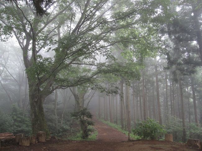 小仏峠を出発して小仏城山に向かいます。