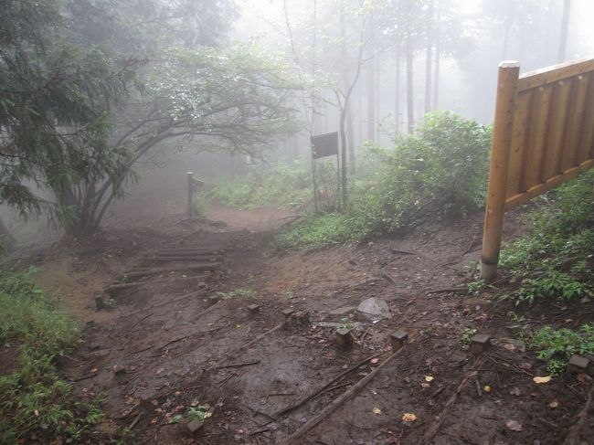 作業道と分岐して小仏城山山頂への最後の登りにさしかかりました。