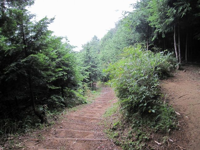 相模湖に下りました。ここは以前は相模湖の展望地だったのですが、杉の植林が伸びてきて展望がなくなってきました。