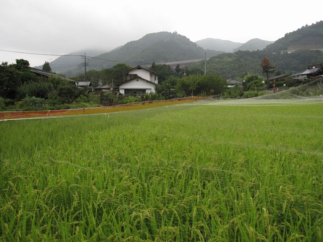 遠くに見える中央高速では1000円の日なので激しく渋滞していました。