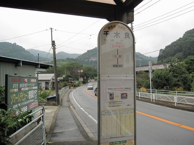 ちょうどバスが来る時間だったのと、雨もひどくなってきたのでバスで駅まで戻ることにしました。<br /><br />歩きだと、ここから相模湖の湖面まで下ってつり橋を渡り、対岸を登りかえす・・とかなりアップダウンのある道を行くことになります。
