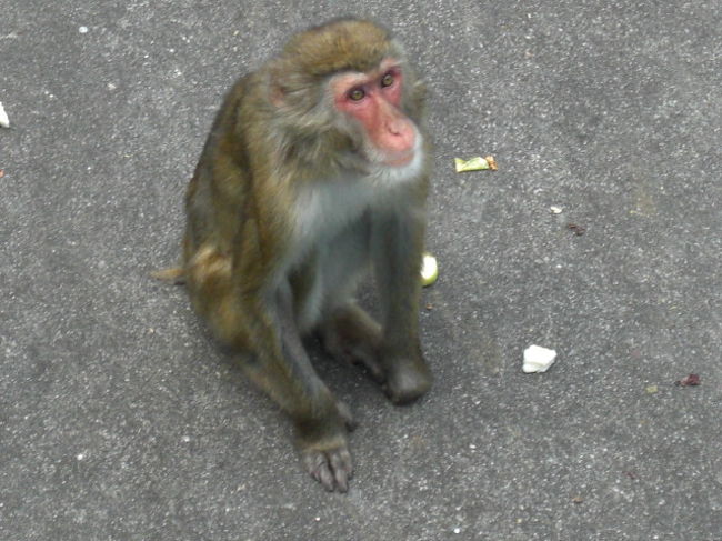 第3章 日光1号で鬼怒川温泉へ 日光竹久夢二美術館 日光猿軍団 鬼怒川温泉 栃木県 の旅行記 ブログ By こうにょ さん フォートラベル 第3章 日光1号で鬼怒川温泉へ 日光竹久夢二美術館 日光猿軍団 鬼怒川温泉 栃木県 の旅行記 ブログ By こうにょ さん フォートラベル